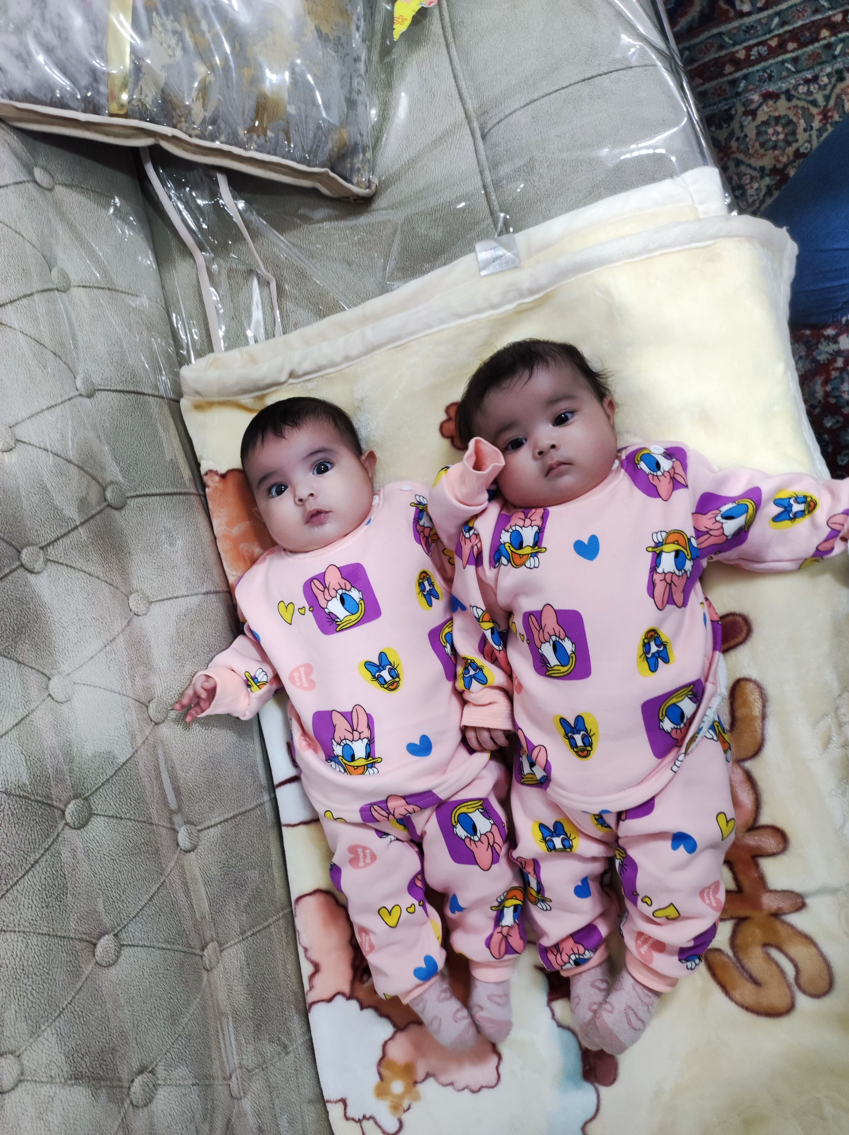 سجاد نوربخش دولق