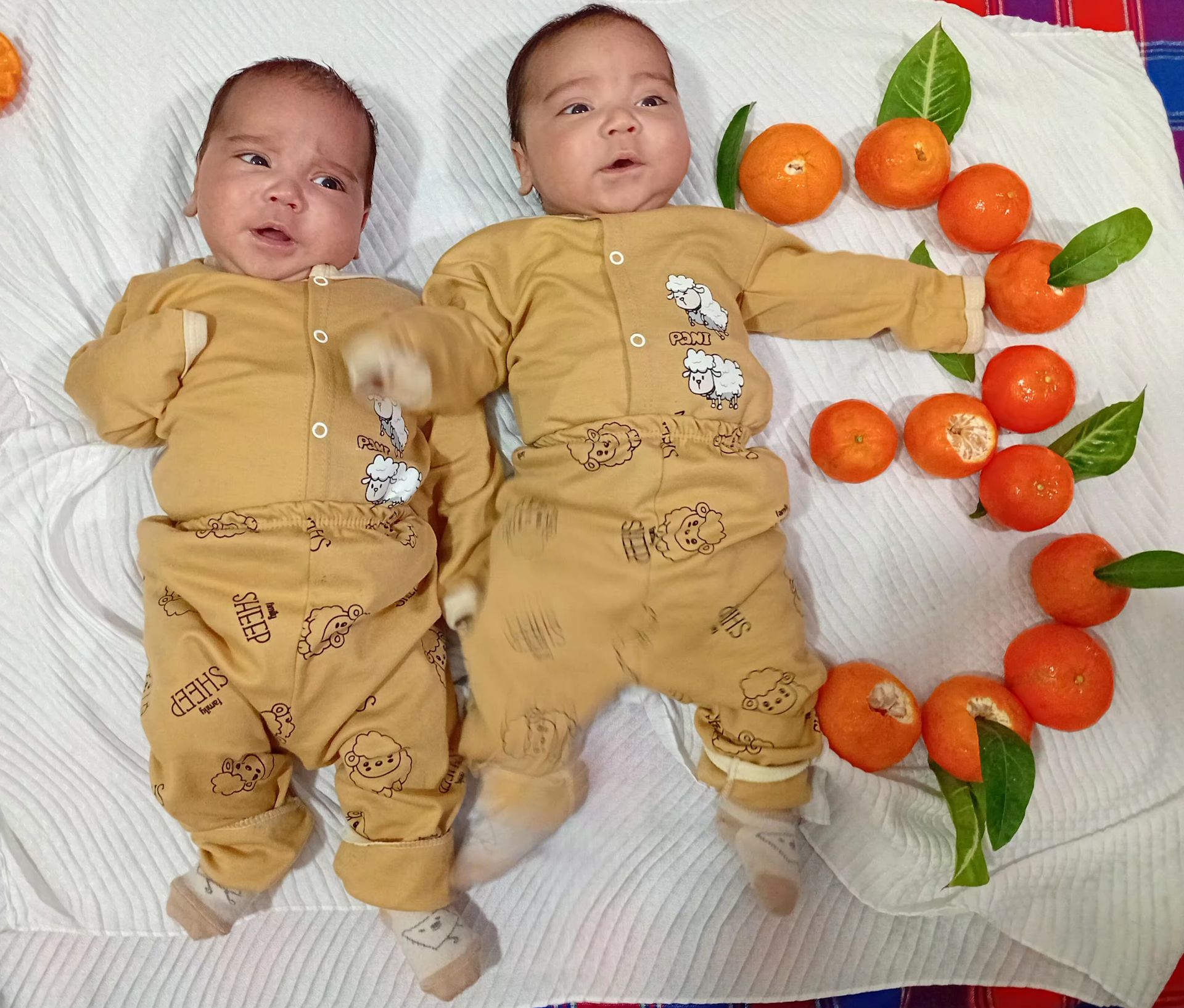 ایمان پسرکلو