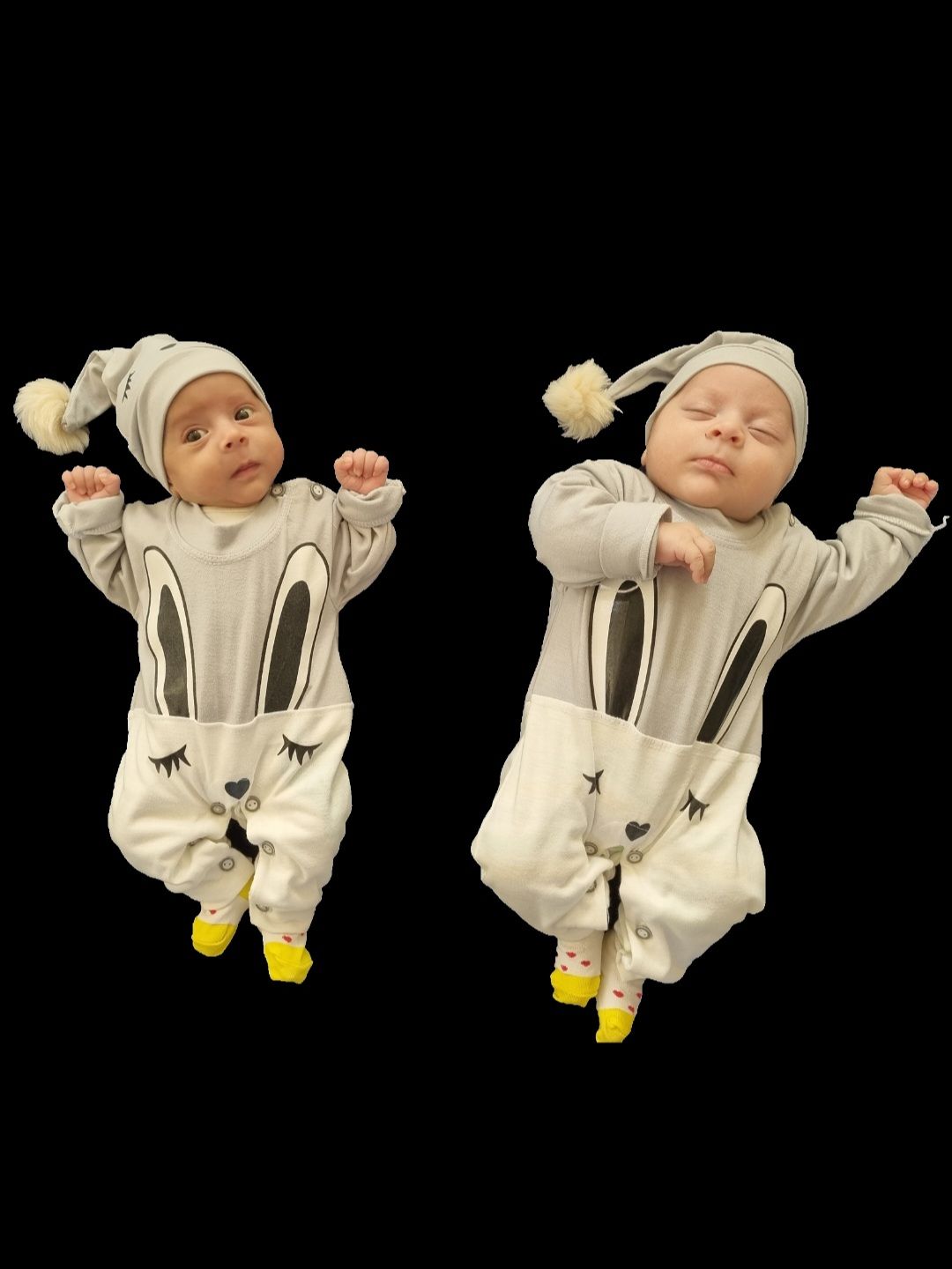 سید نیکان موسوی