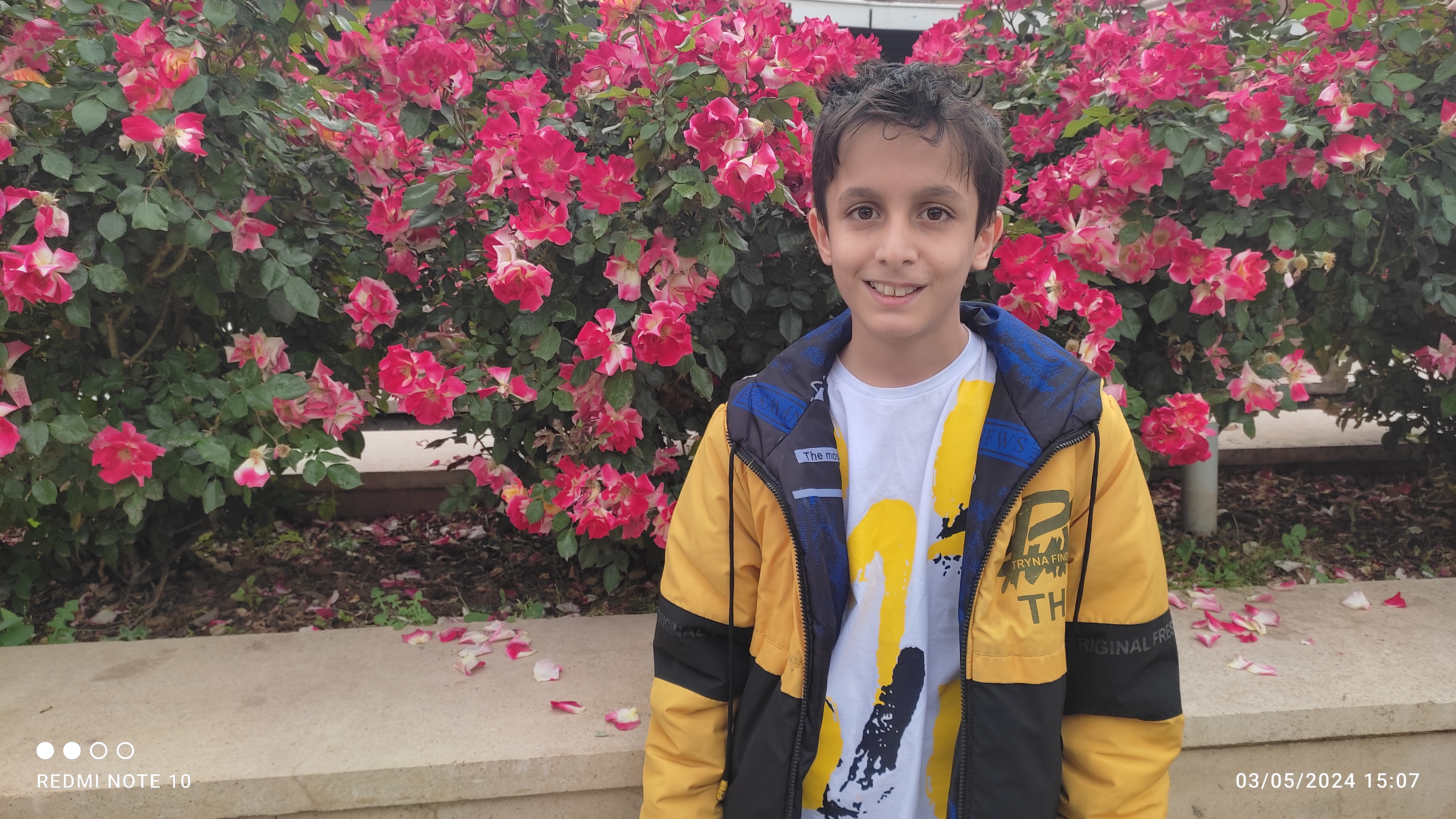 سید دانیال محمدنیا