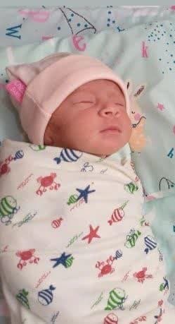 سیده لنا موسوی گورابی