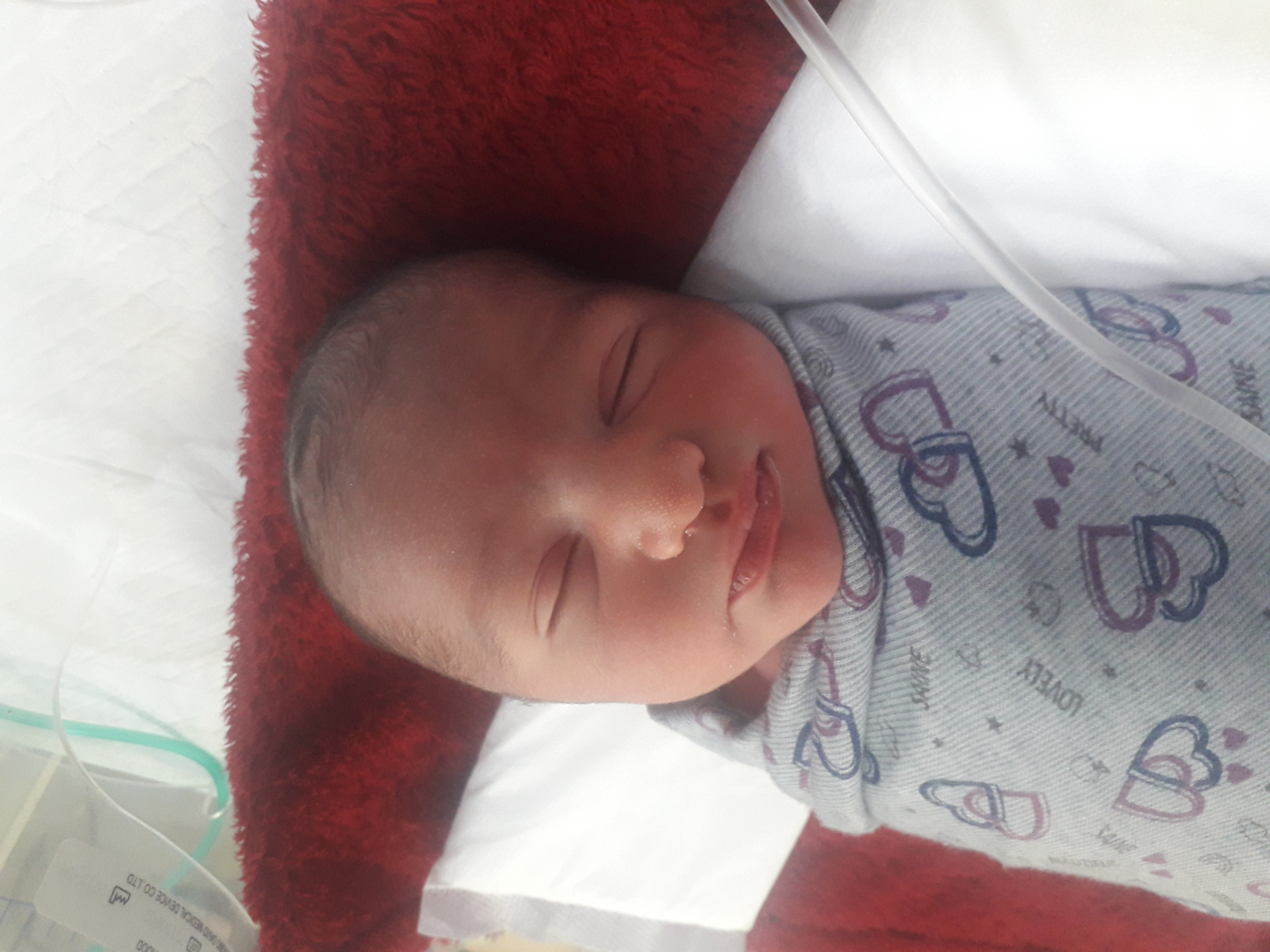 محمدپارسا بخشیان خراجی