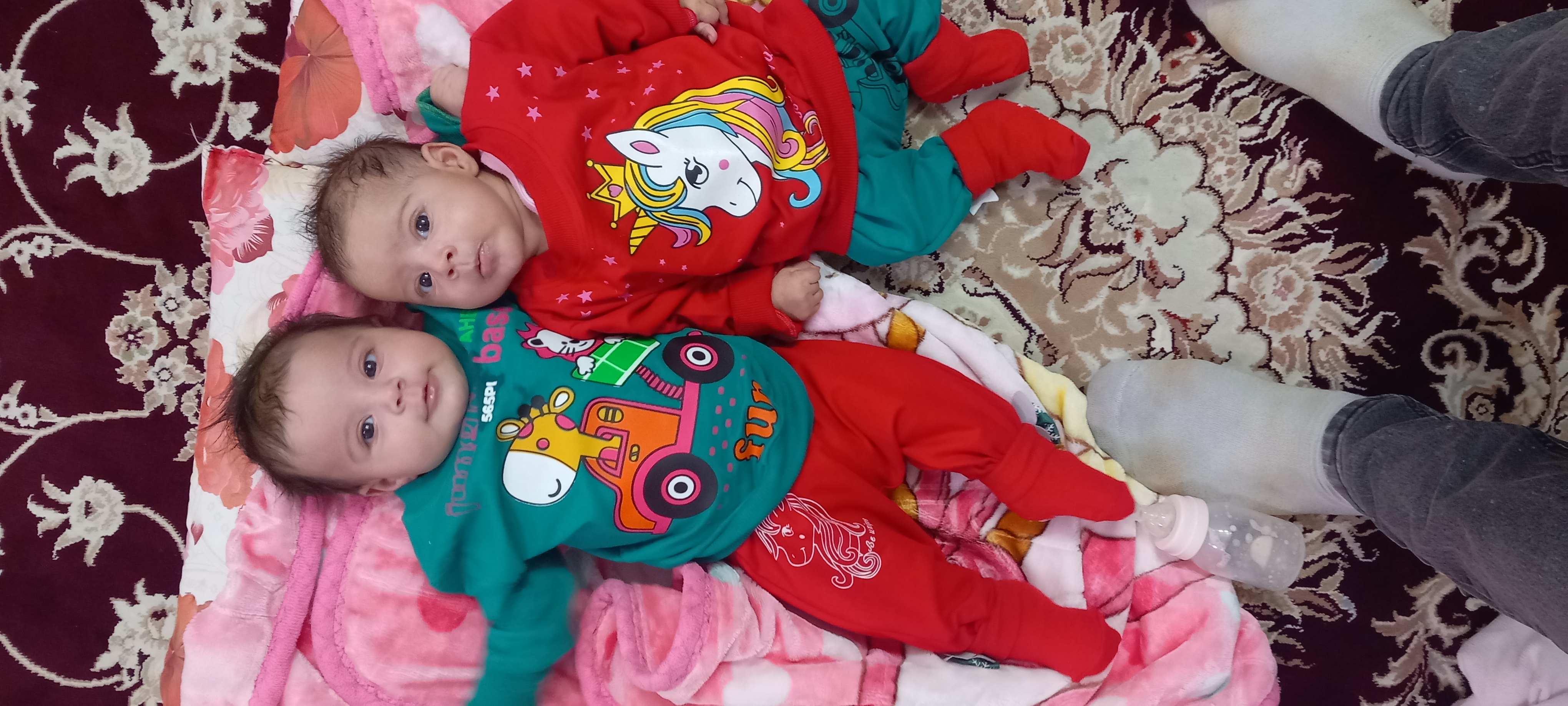 شادبخشمهینی