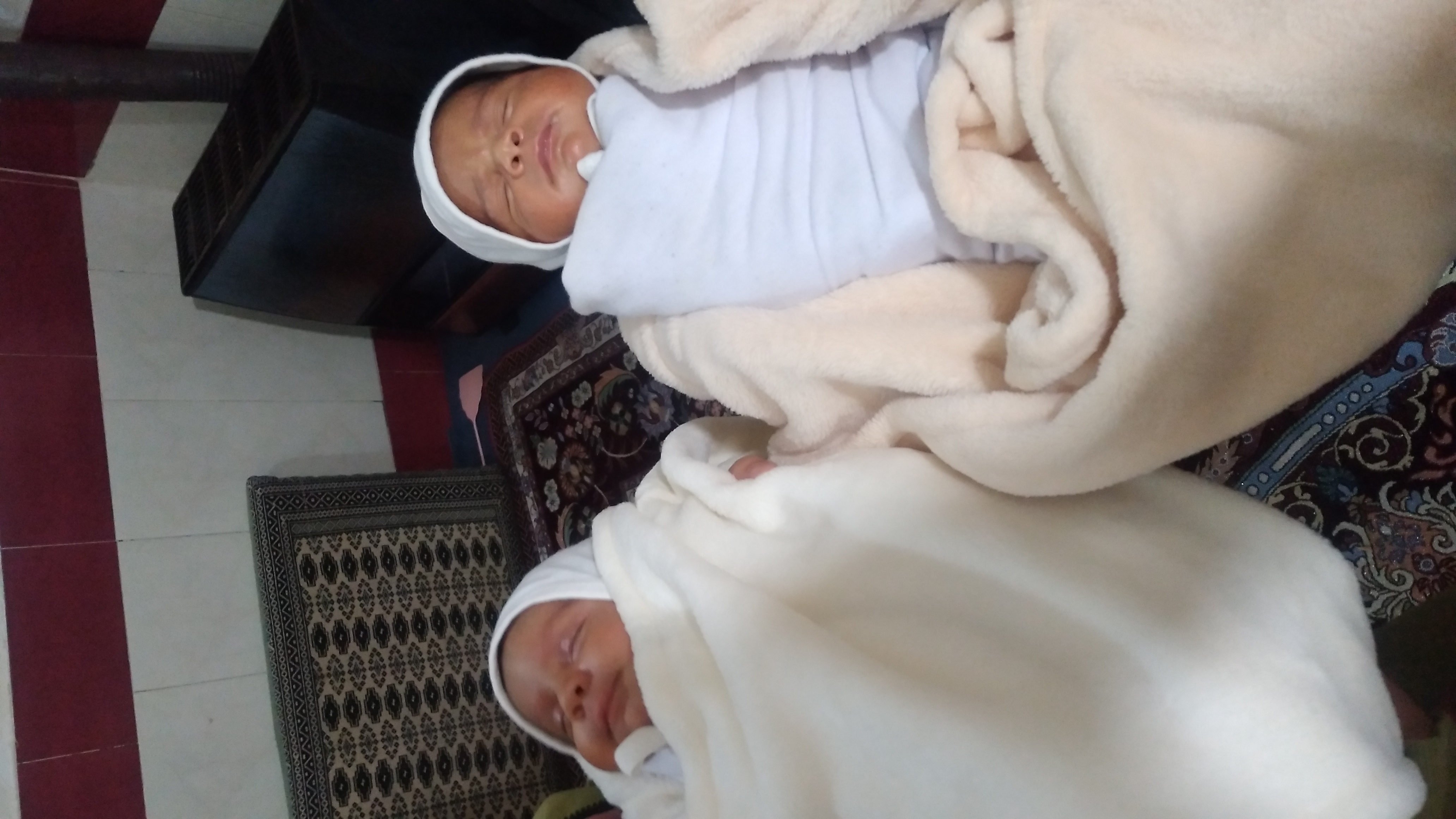 فندرسکی نژاد